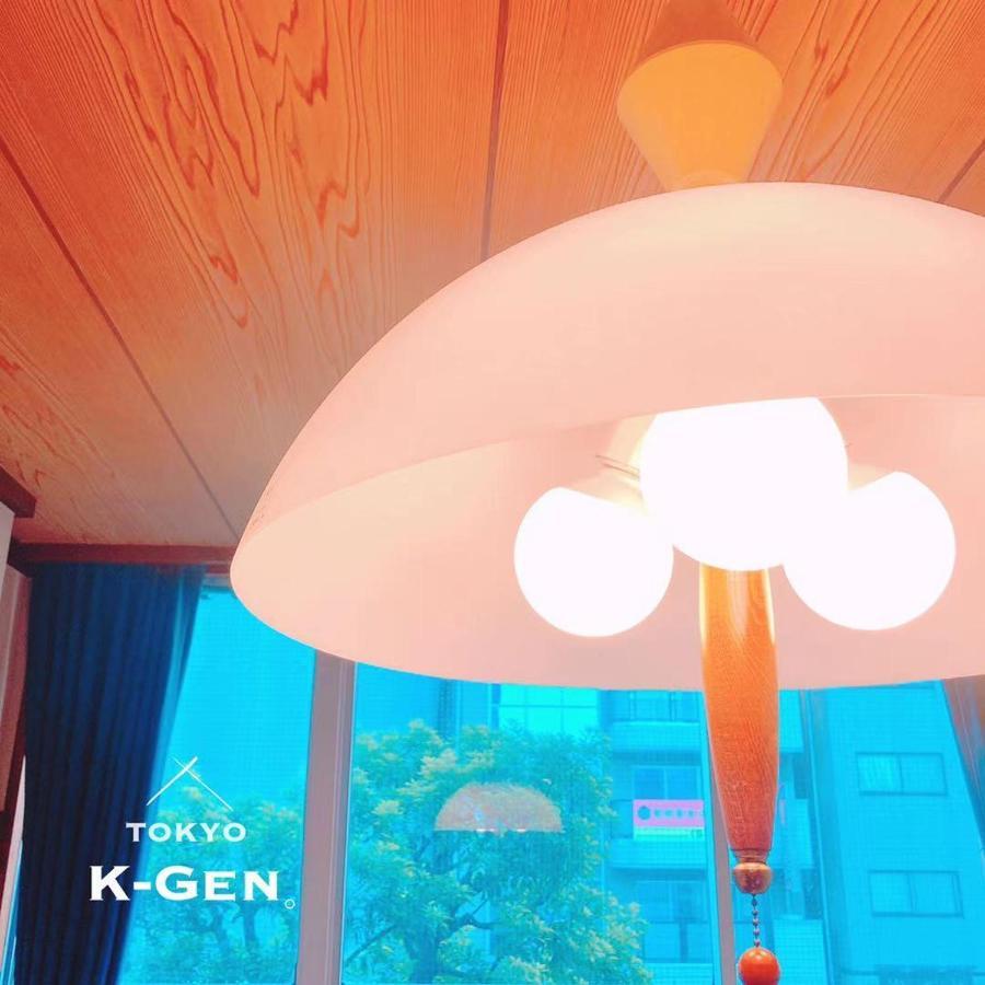K-gen Penzion